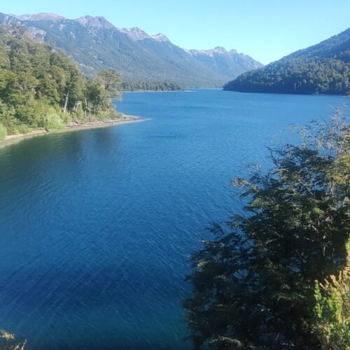 Sala de Estar: O Coração da Casa, o Aconchego do Lar
